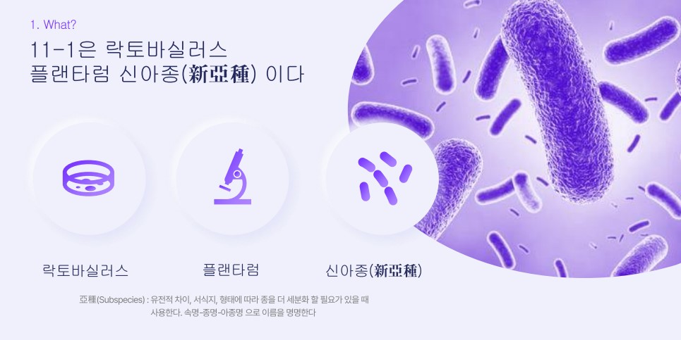 fe8d10537dd403f094af65d2c27c4ac8_1755061521_7494.jpg