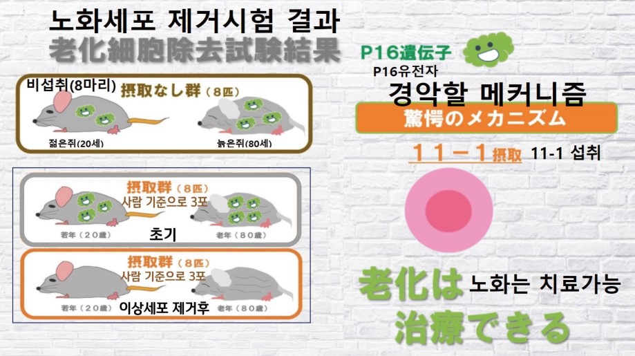 fe8d10537dd403f094af65d2c27c4ac8_1755061522_1168.jpg